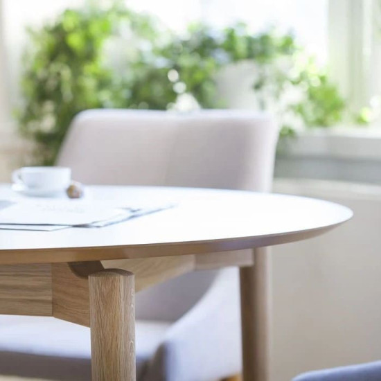 Barbaros pietų stalas (ąžuolas/baltas) image