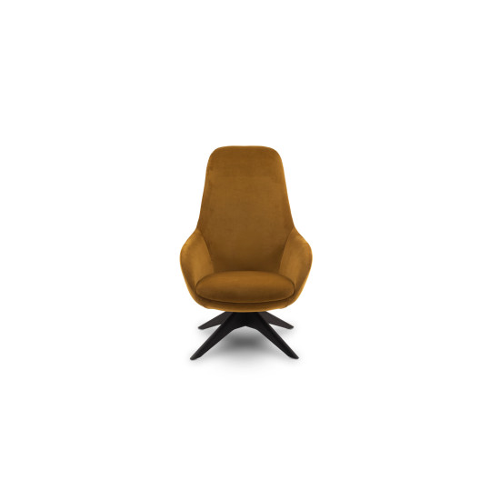 Poilsio krėslas Classic (armchair) image