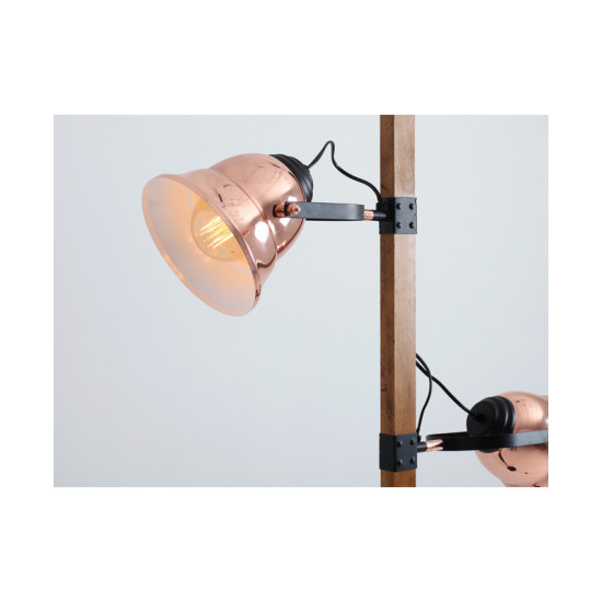 Lempa Nikaia (Stalo) image