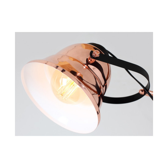 Lempa Nikaia (Stalo) image