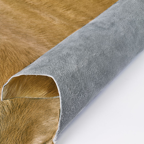 Kilimas Pelle Colorata Champagne, 200 × 240 cm