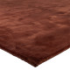 Kilimas EUCALYPTUS RUST